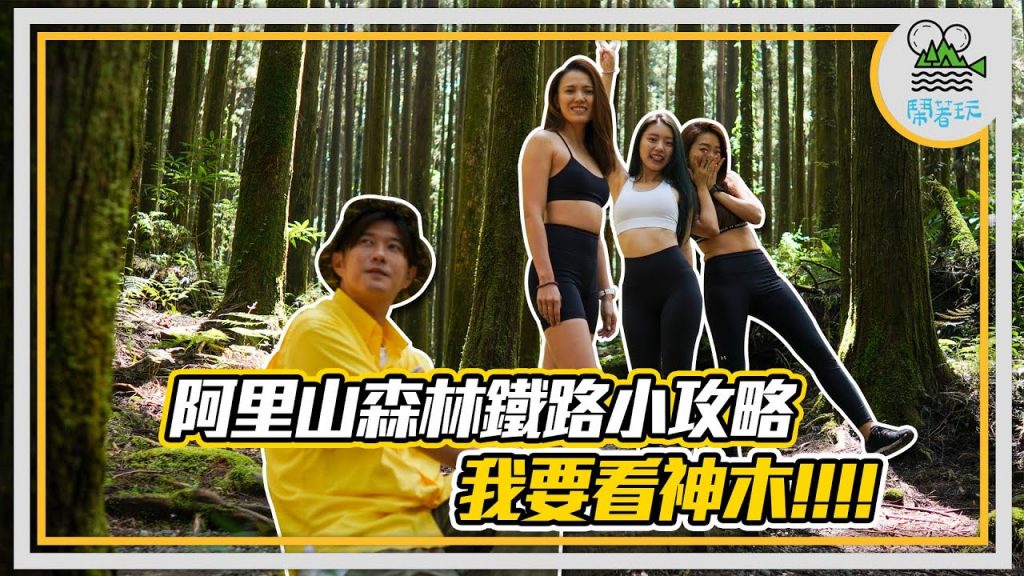 動畫電影場景神還原的神祕森林 阿里山真的美到不行!!! |森林鐵路攻略再進化 社長圓夢 經典場景再現【鬧著玩283】