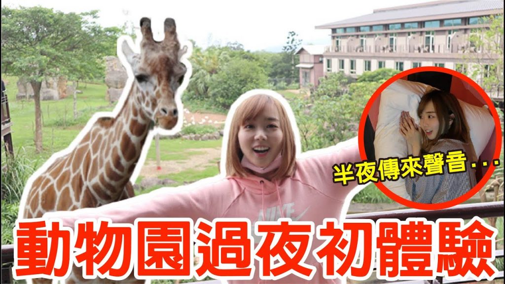【Kiki】一晚10000元!跟動物過夜居然意外被襲擊!?