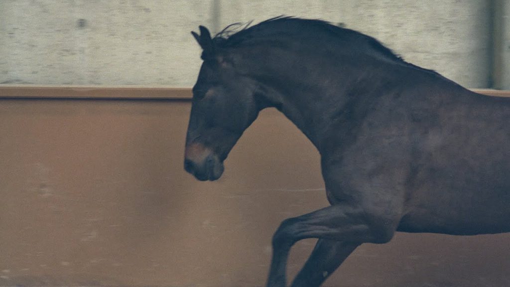 Spring-Summer 2022 Haute Couture Show, Haute Couture in the Round — CHANEL Shows