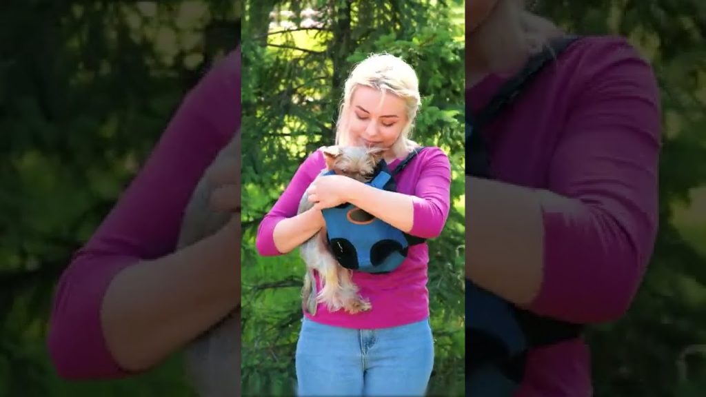 超有趣狗狗小道具及玩具 #shorts