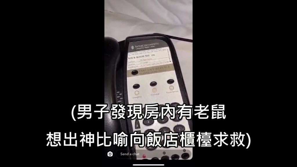 男子發現旅館房間有老鼠而打給櫃檯,但英文不好改用神隱喻幫助 (中文)