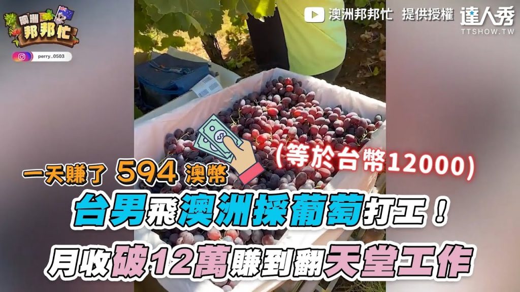 【台男飛澳洲採葡萄打工!月收破12萬賺到翻天堂工作】