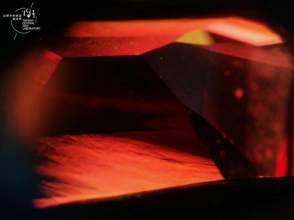 因為地震忘記設定時間,不小心發文了
(…