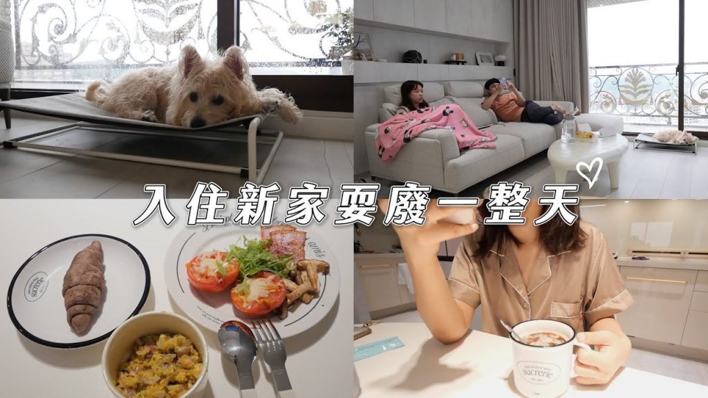 WA VLOG:入住新家的一天📝喵大廚早午餐/新買的掃拖機器人/超好玩switch遊戲/高級蛋黃酥評比💛