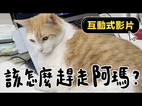 黃阿瑪的後宮生活 【黃阿瑪的後宮生活】該怎麼趕走阿瑪?(互動式影片)