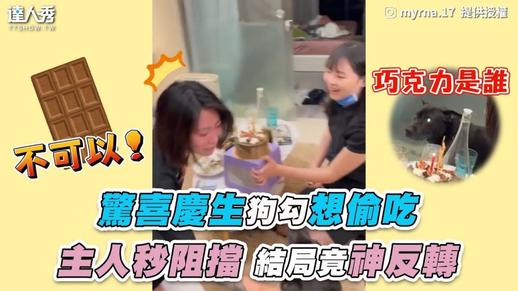 【驚喜慶生狗勾想偷吃 主人秒阻擋結局竟神反轉】|IG / myrna.17