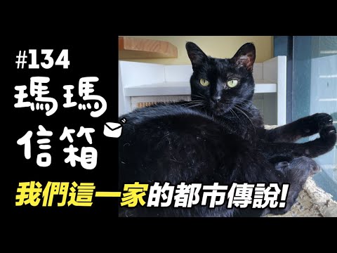志銘與狸貓 我們這一家的都市傳說!|瑪瑪信箱《第134集》