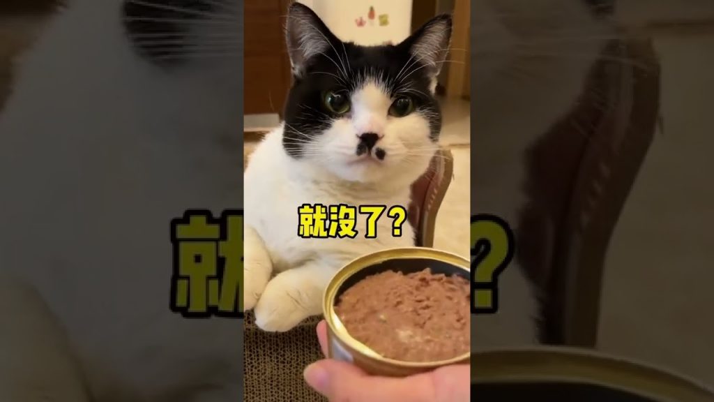 麻蛋和丑丑 【不要胡子啊】一天吃两勺,等32号发工资再给你买新罐罐