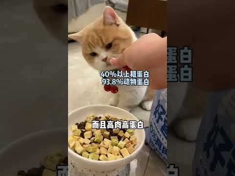 麻蛋和丑丑 【麻蛋和丑丑】家里养猫了,晚上千万别睡太死