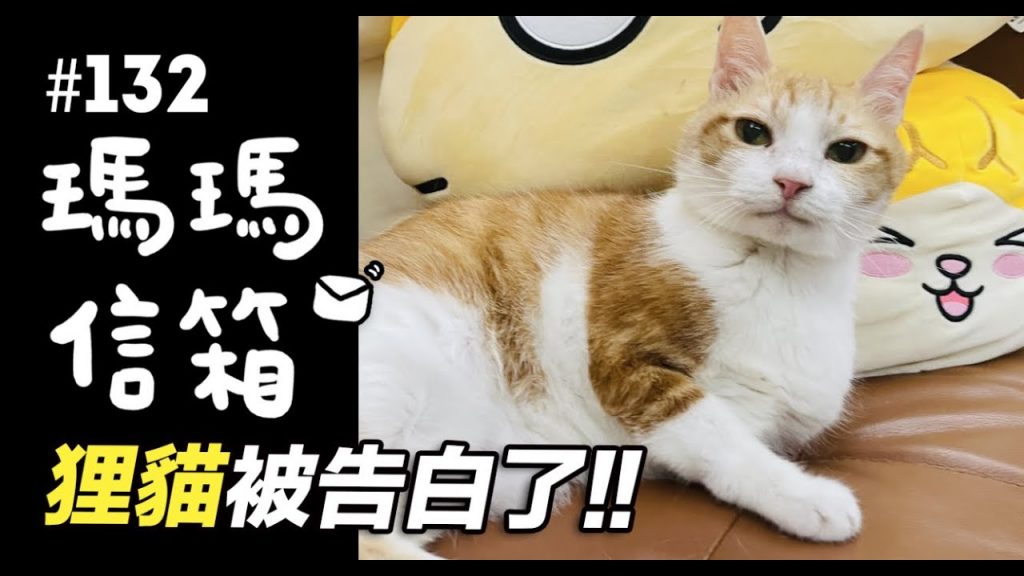 志銘與狸貓 狸貓被告白了!|瑪瑪信箱《第132集》