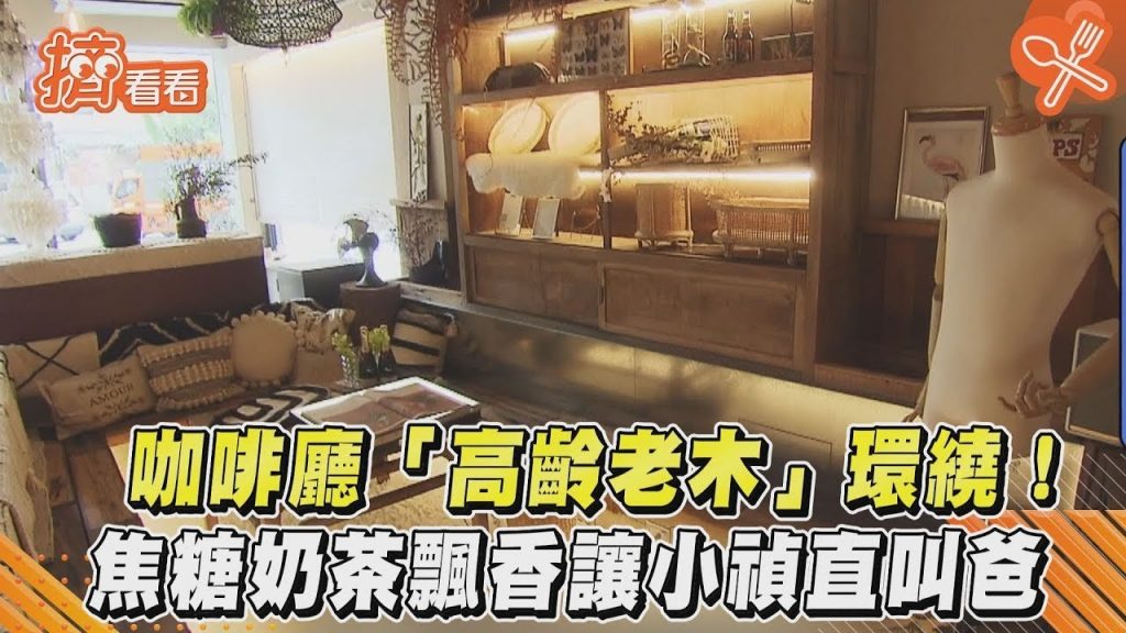 咖啡廳「高齡老木」環繞! 焦糖奶茶飄香讓小禎直叫爸|TVBS新聞|擠看看