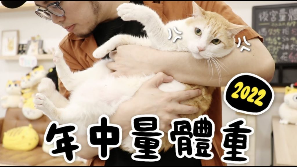 黃阿瑪的後宮生活 【黃阿瑪的後宮生活】2022年中量體重!出現異常警訊!