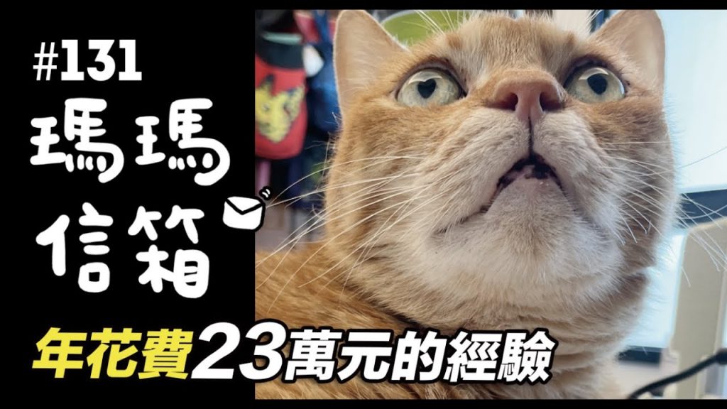 志銘與狸貓 年花費23萬元的經驗|瑪瑪信箱《第131集》