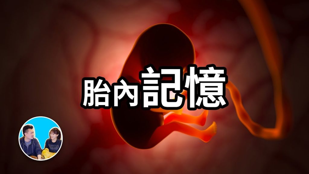 令人震驚和感動的胎內記憶,原來這才是我們來到這個世界的真正任務 | 老高與小茉 Mr & Mrs Gao