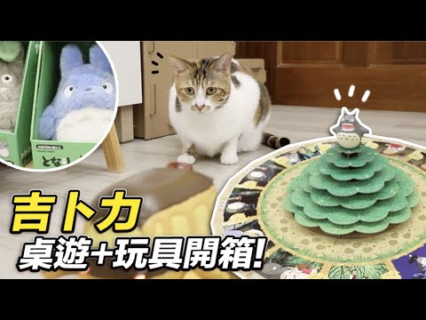 志銘與狸貓 【爆買吉卜力周邊!龍貓桌遊+高科技玩具】志銘與狸貓