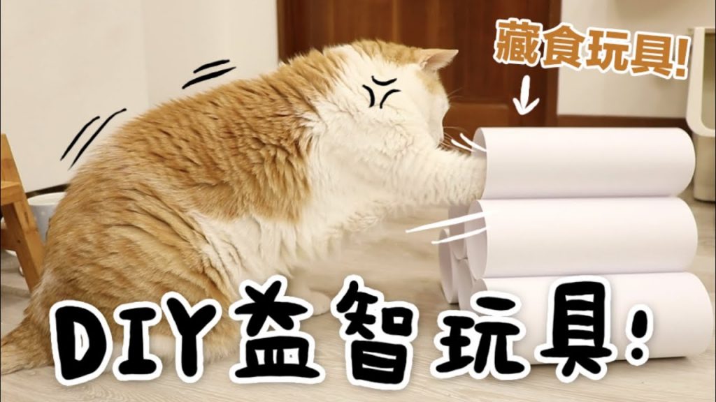 黃阿瑪的後宮生活 【黃阿瑪的後宮生活】DIY益智玩具!4種貓咪藏食玩具!