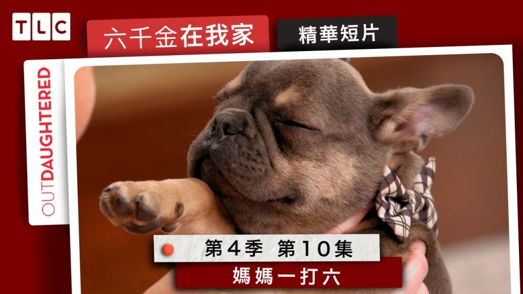 《六千金在我家》媽媽一打六,全家都在學怎麼乖乖上廁所|TLC 旅遊生活頻道