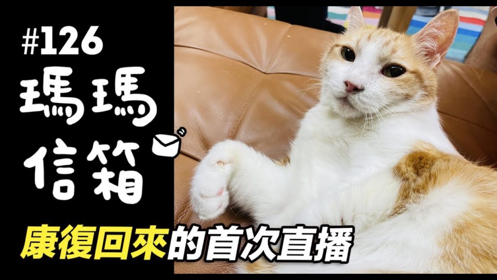 志銘與狸貓 康復回來的首次直播|瑪瑪信箱《第126集》