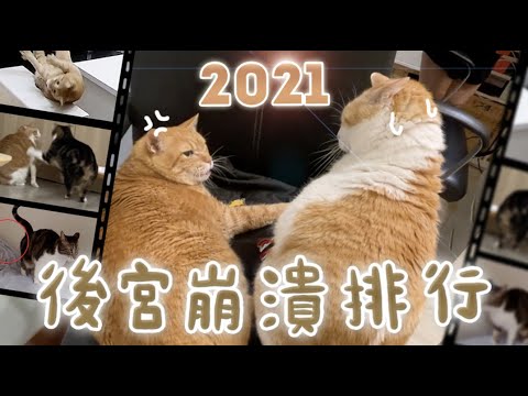 黃阿瑪的後宮生活 【黃阿瑪的後宮生活】2021後宮崩潰排行榜!