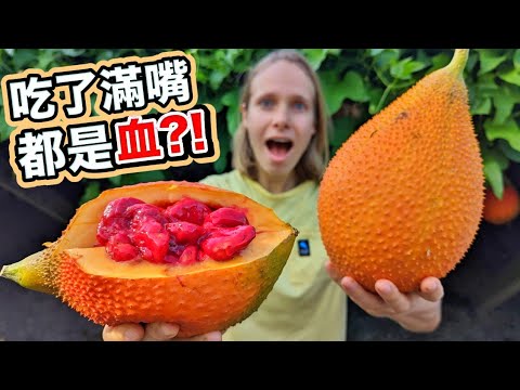 這到底是什麼奇特水果?有毒卻強心護眼!號稱地表最營養的水果! One Of The Healthiest Fruits In The World? Meet Gac Fruit