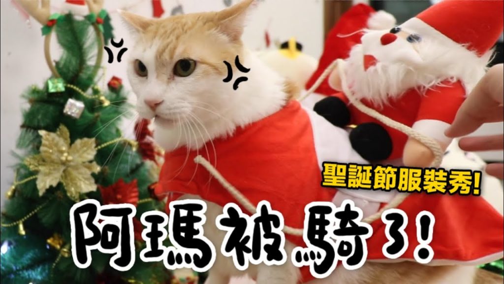 黃阿瑪的後宮生活 【黃阿瑪的後宮生活】阿瑪被騎了!聖誕節服裝秀!