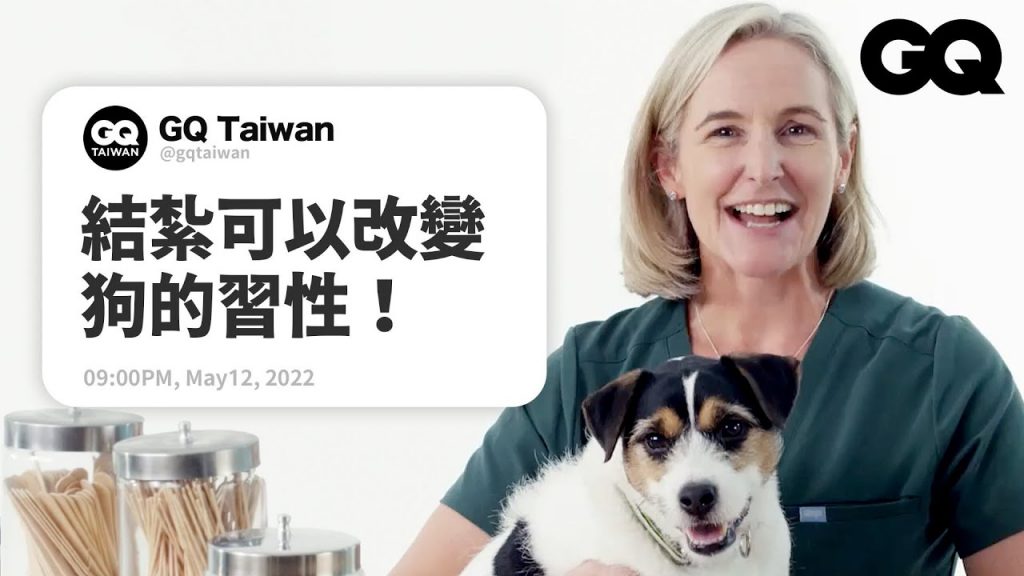 獸醫解答鏟屎官的疑難雜症:狗狗吸二手菸也會致癌?犬貓心絲蟲怎麼預防? Veterinarian Answers Pet Questions|名人專業問答|GQ Taiwan