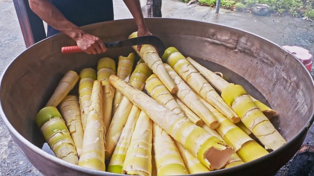 Harvesting Giant Bamboo Shoots Master, Dried Bamboo Shoots Making / 巨大麻竹筍採收技巧, 筍乾製作 / 就柿好吃