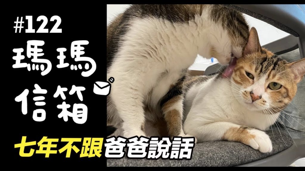 志銘與狸貓 七年不跟爸爸說話|瑪瑪信箱《第122集》