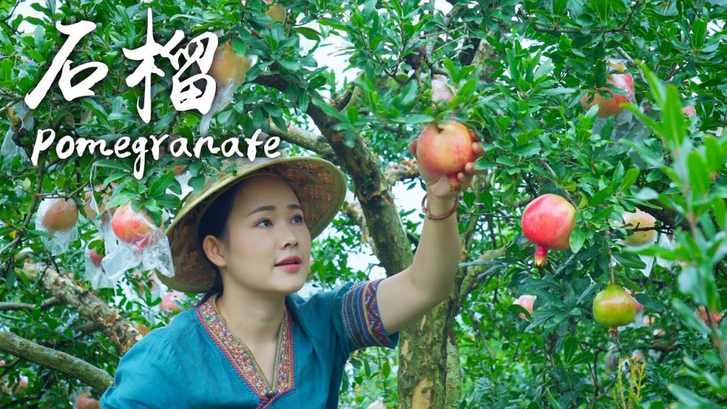 「一席一果」石榴——水果中的紅寶石【滇西小哥】
