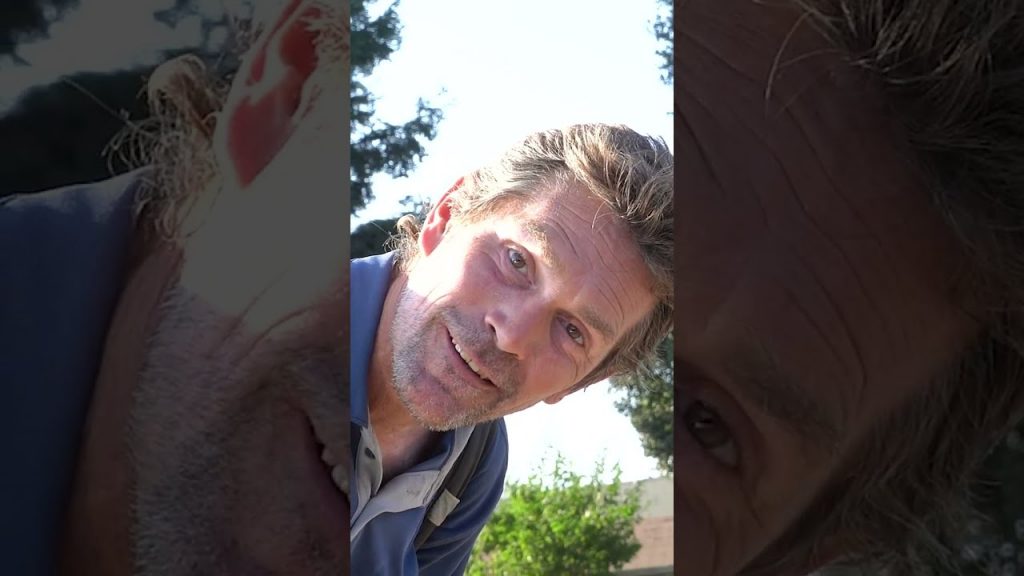 在路上載想搭便車的人,遇到奇特叔叔講人生大道理