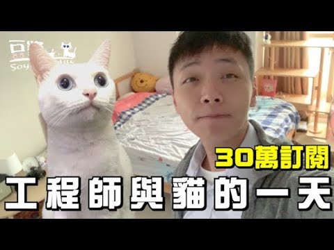 豆漿 【豆漿30萬訂閱】 工程師與貓的一天