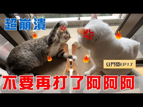 【豆鬥榮 EP17】 不要再打了阿阿阿!!! 超崩潰