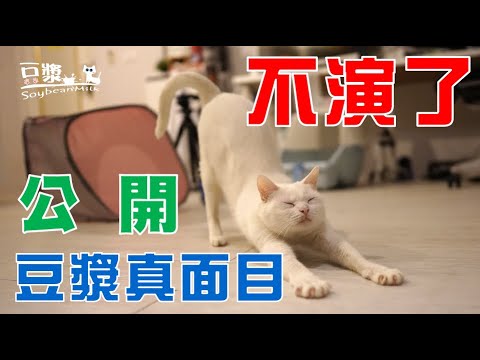 【豆漿 – SoybeanMilk】不演了 公開豆漿的本性