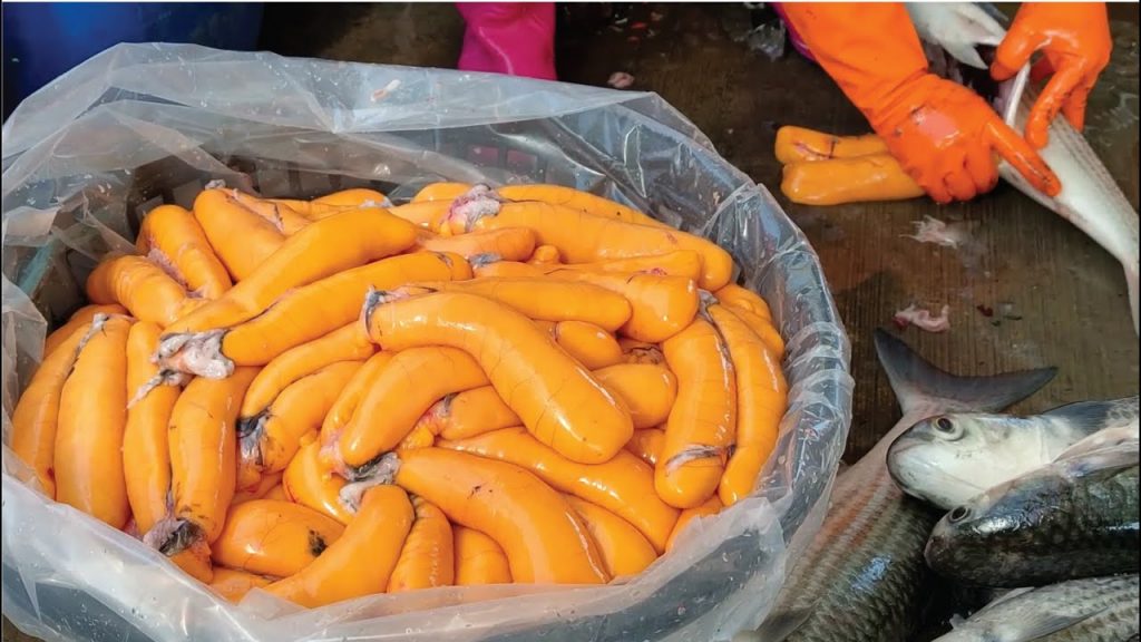 烏魚切割技巧-烏魚子製作/Mullet Cutting Skills-Mullet Roe Making ,Grilled Mullet Roe-台灣街頭美食-台灣傳統美食