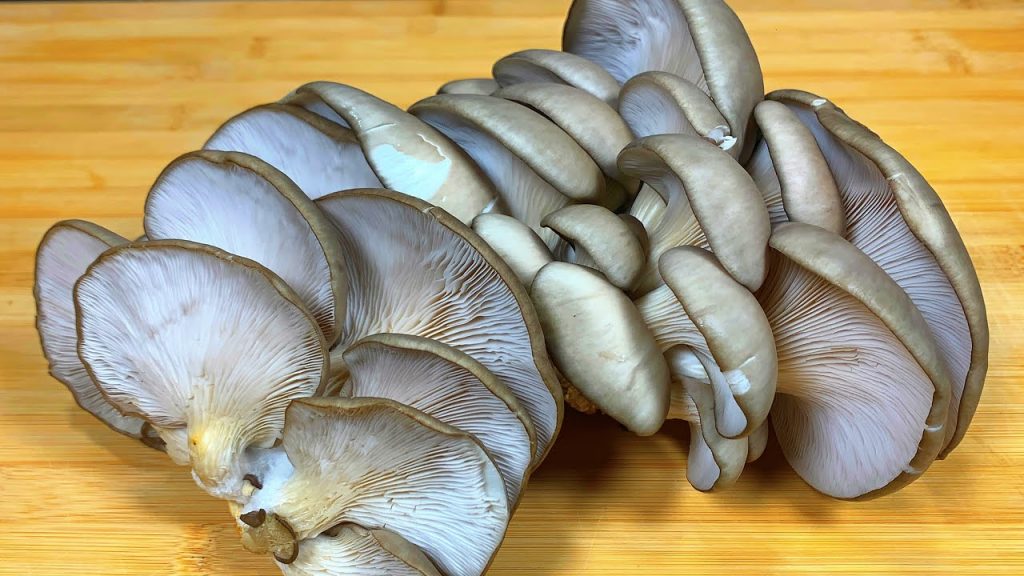 蘑菇别再炒着吃,教你新做法,2天不吃就嘴馋,味道别提有多香了【刘姐厨房 Magic Food】#面食 #蘑菇