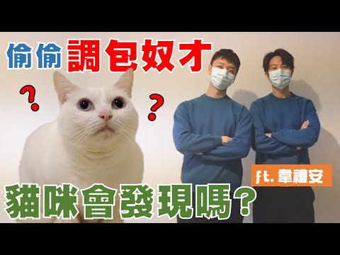 【豆漿實測】如果奴才被調包 貓咪會發現嗎? ft.韋禮安