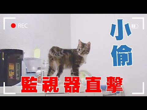 【豆漿 – SoybeanMilk】家裡遭小偷了