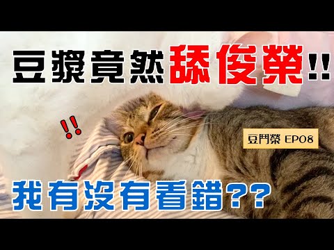 【豆鬥榮 EP08】舔完的下場 慘不忍睹…