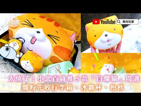 太燒了!小北百貨推5款「白爛貓」週邊,爛粉先收行李箱、冰霸杯、抱枕