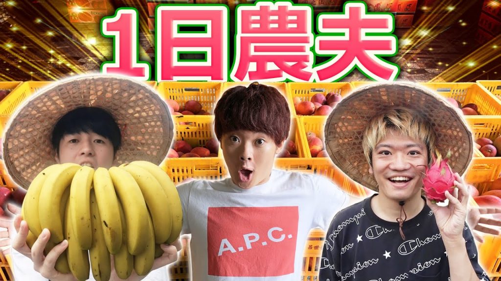 一日農夫體驗外國人超驚訝!超好吃的台灣水果種植方法大公開!