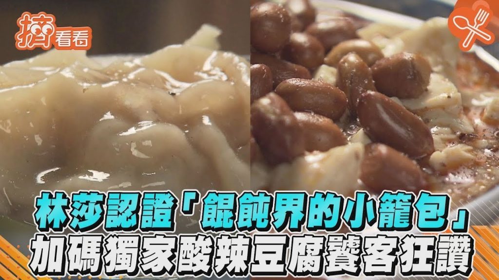 林莎認證「餛飩界的小籠包」 加碼獨家酸辣豆腐饕客狂讚
