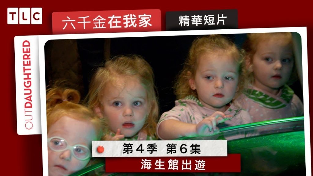 《六千金在我家》誰最會模仿企鵝走路?海生館一日遊,大家一起放風囉~|TLC 旅遊生活頻道