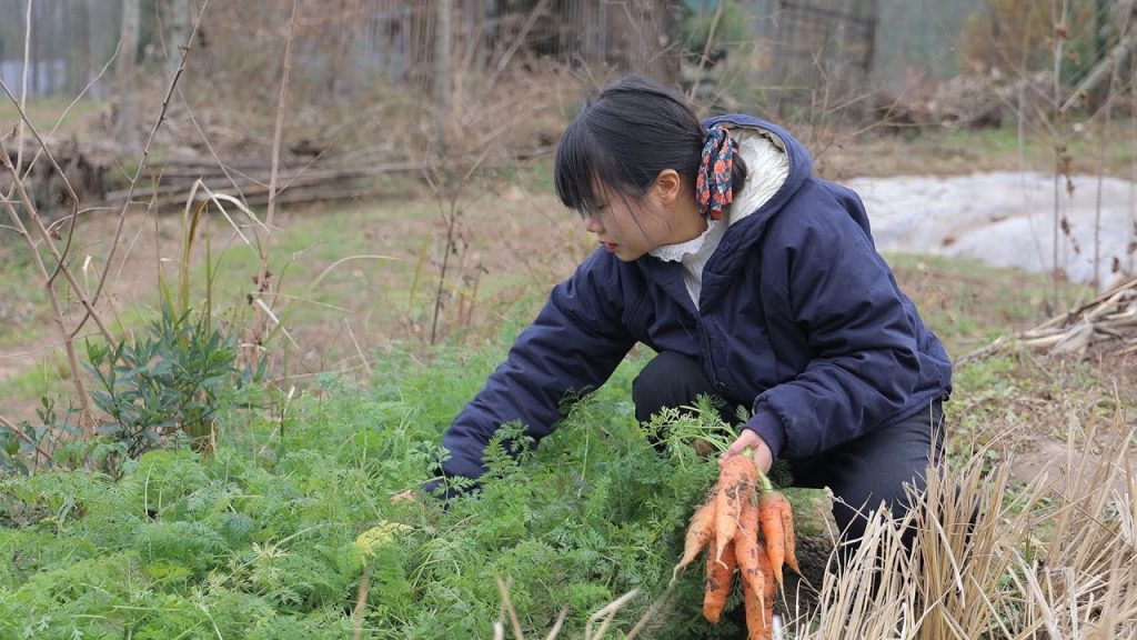 【二米炊煙】Bibimbap with Chili Sauce. 寒冷的冬天,用各種蔬菜製作的拌飯,既暖和又美味