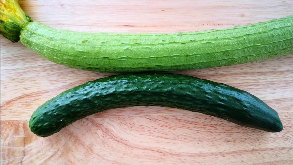 絲瓜和黃瓜獨特的做法,切一切,攪一攪,比紅燒肉還好吃,太香了【小穎美食】