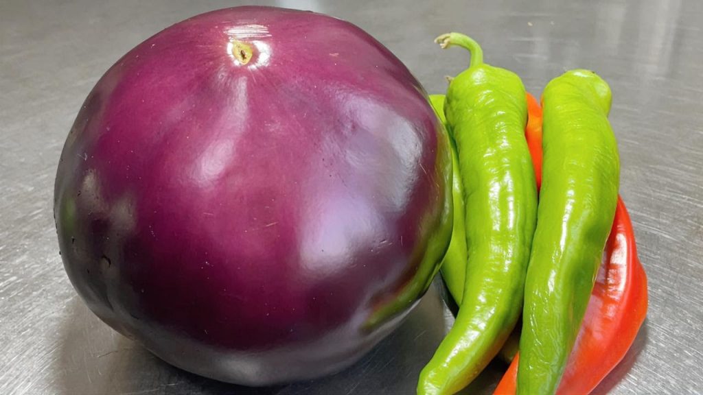 這辣椒茄子怎麼做好吃?教你特色做法,開胃下飯簡單易學,收藏了!【留意美食】#茄子做法