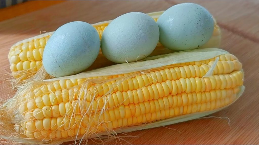 夏天要多吃玉米,教你新吃法,不煮不烙不油炸,出鍋比吃肉還香! 【小穎美食】