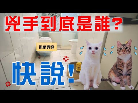【豆漿 – SoybeanMilk】家裡鬧鬼了 你猜的到兇手嗎?