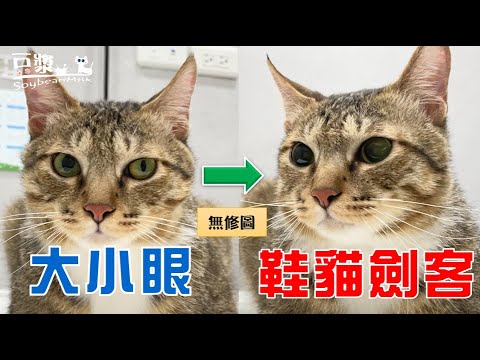 【豆漿 – SoybeanMilk】俊榮大小眼的現況追蹤