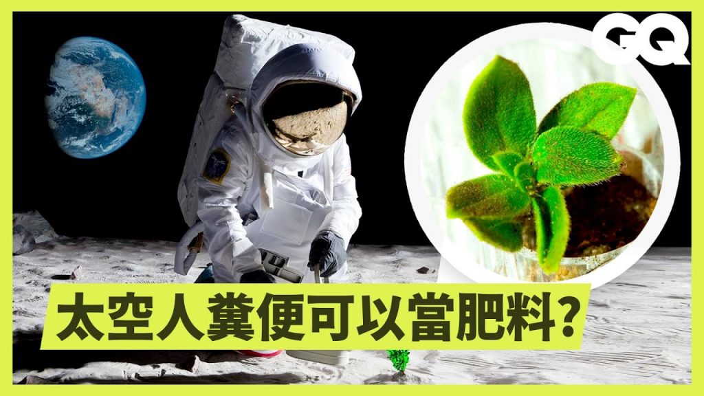 月球種菜可實現?NASA「阿提米絲計畫」在太空種出植物 How Growing Plants is Different on the Moon|科普長知識|GQ Taiwan