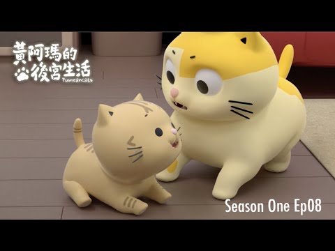 黃阿瑪的後宮生活 第1季 第8集【小招弟登場!】|#同名動畫 Fumeancats, Season One, Ep08